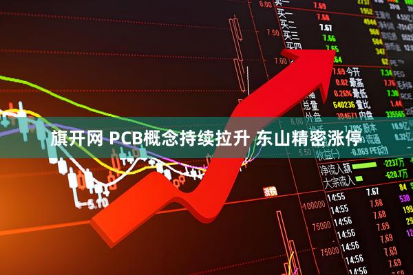 旗开网 PCB概念持续拉升 东山精密涨停