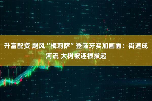 升富配资 飓风“梅莉萨”登陆牙买加画面：街道成河流 大树被连根拔起