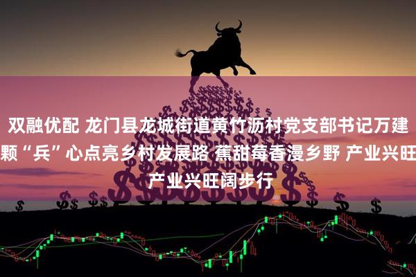 双融优配 龙门县龙城街道黄竹沥村党支部书记万建康：一颗“兵”心点亮乡村发展路 蕉甜莓香漫乡野 产业兴旺阔步行