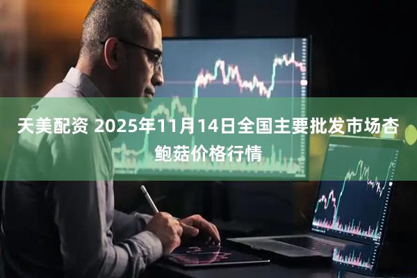 天美配资 2025年11月14日全国主要批发市场杏鲍菇价格行情