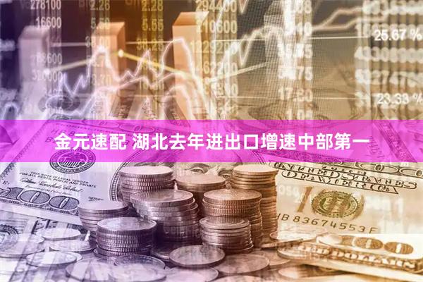 金元速配 湖北去年进出口增速中部第一