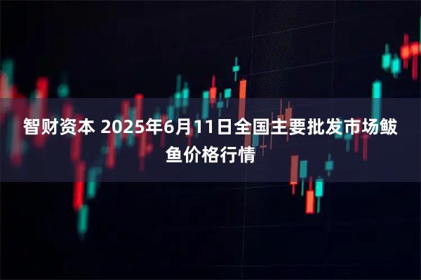 智财资本 2025年6月11日全国主要批发市场鲅鱼价格行情